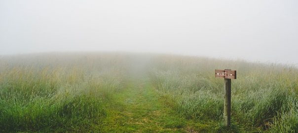 rocadeira vonder e boa