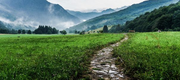 rocadeira nakashi e boa