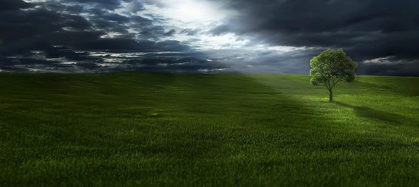 roçadeira trapp é boa