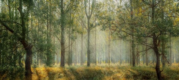 motosserra vulcan é boa