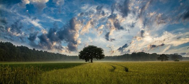 soprador de folhas kawashima e bom